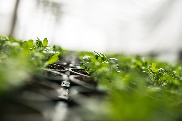 Tecnología sustentable para el riego y la energía del mañana