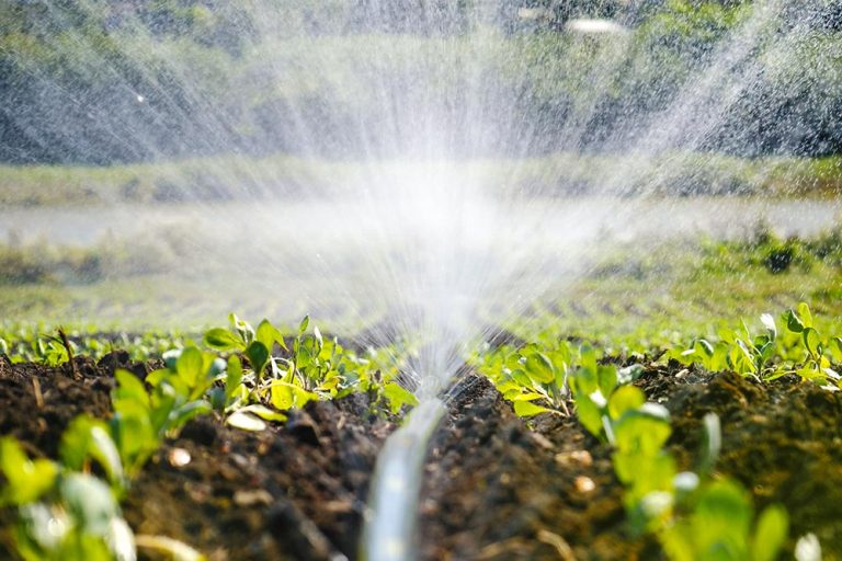 ¿Qué es un pozo profundo y para qué sirve?